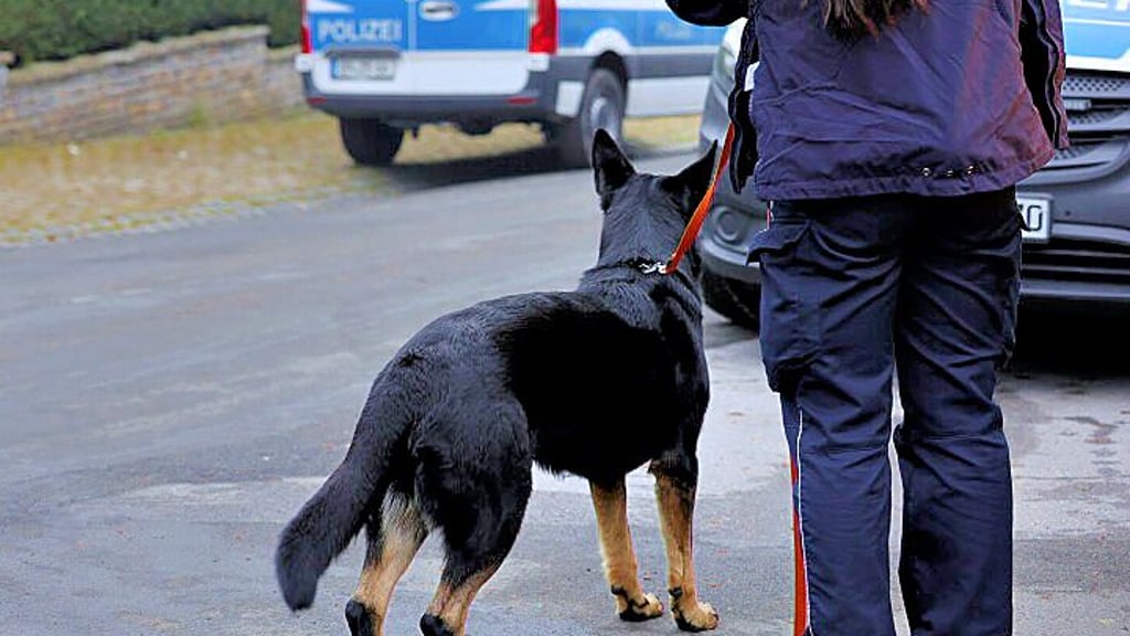 Bei einer Drogenrazzia wurden zwei Wohnungen&nbsp;in Rodleben und Dessau durchsucht.&nbsp;Die Diensthundeführereinheit war mit im Einsatz.