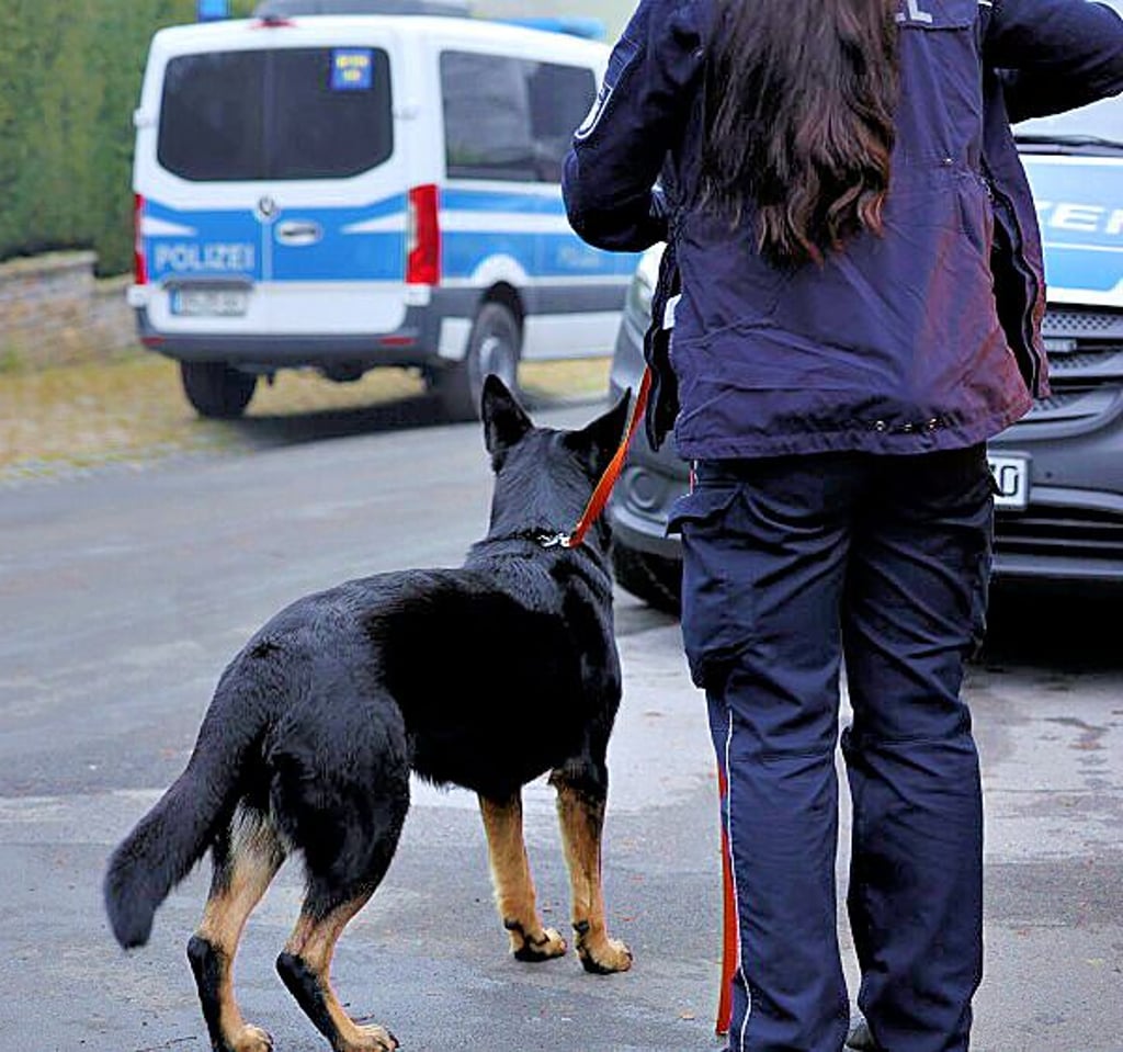 Die Diensthundeführereinheit war mit im Einsatz.
