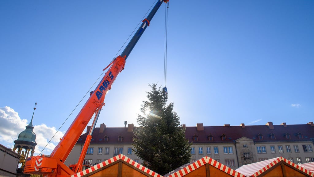 Riesige Kräne heben die prachtvollen Tannen auf die Weihnachtsmärkte in Sachsen-Anhalt. (Archivbild)