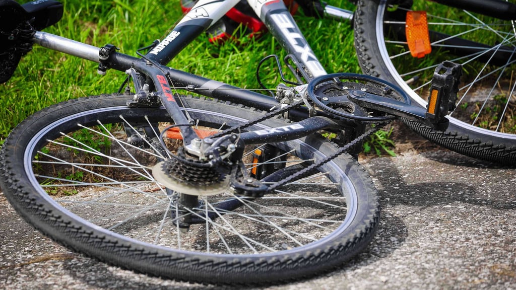 Ein Radfahrer ist am Donnerstag in Halle mit einem Reh zusammengestoßen.
