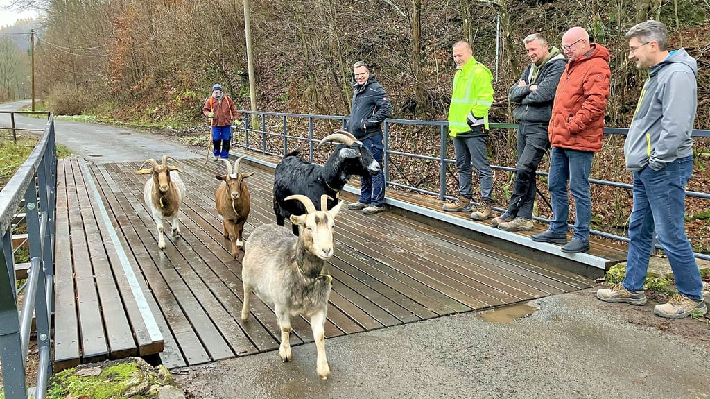 Die Brücke über die Lude ist saniert worden und kann wieder   sicher genutzt werden.