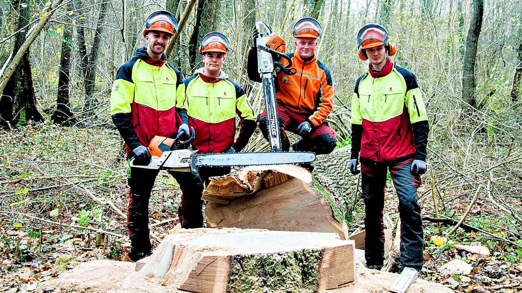 Die Auszubildenden Felix Piep (von links), Elias Gieler, Taylor Kepplinger und Arne Wöstenberg diskutieren gemeinsam mit ihrem Ausbilder die Fälltechnik an der frisch gefällten Eiche.