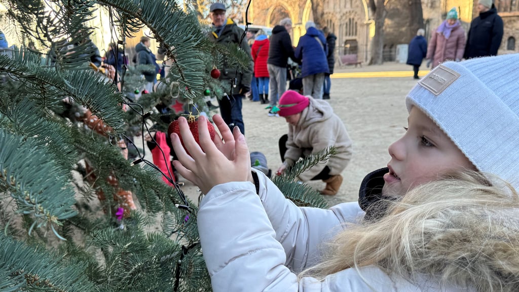 Die achtjährige Leni beim Schmücken des Weihnachtsbaums auf Halberstadt Domplatz.