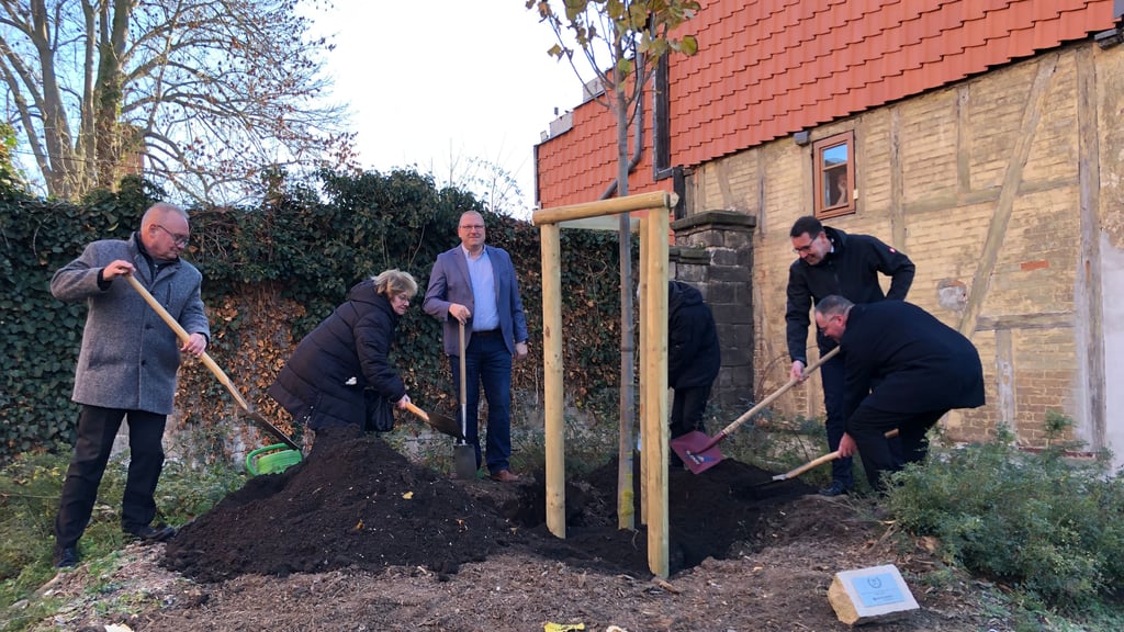 Das 35-jährige Bestehen der Wohnungswirtschaftsgesellschaft Quedlinburg wurde mit einer Baumpflanzung und einer Plakette gewürdigt.