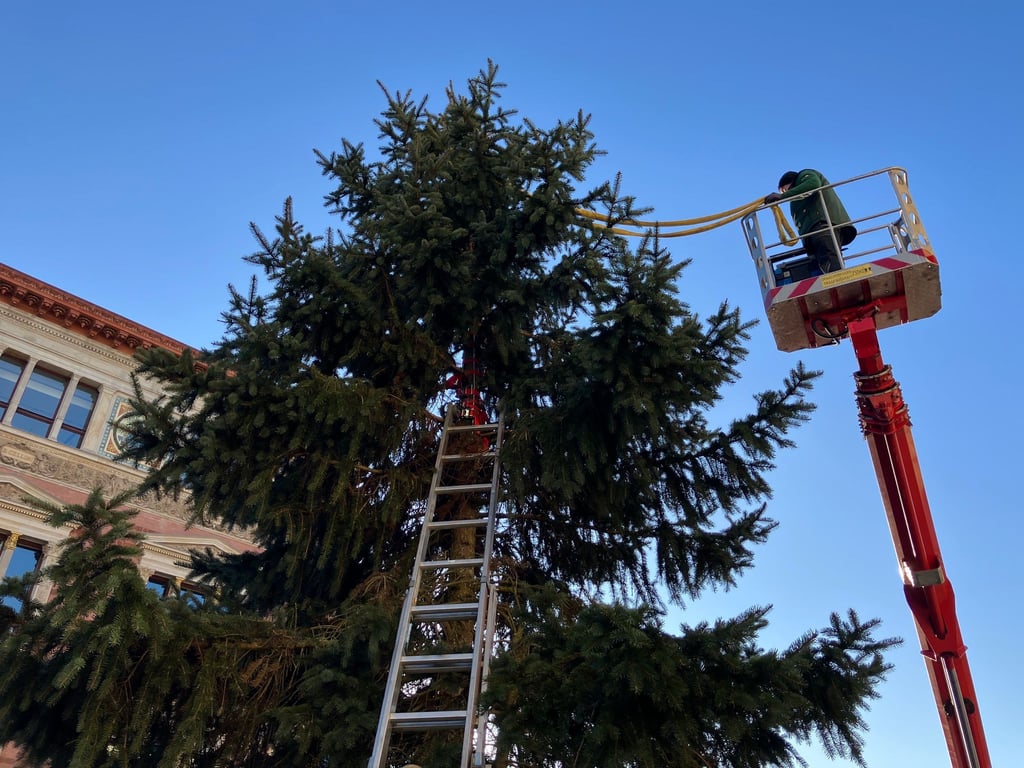 Der Baum wurde am Samstagmorgen abtransportiert.