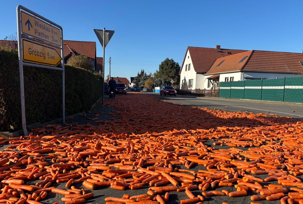 Möhren liegen am Samstag auf einer Fahrspur an der Einmündung der Kurt-Eisner-Straße auf die Köthener Straße in Edderitz. 