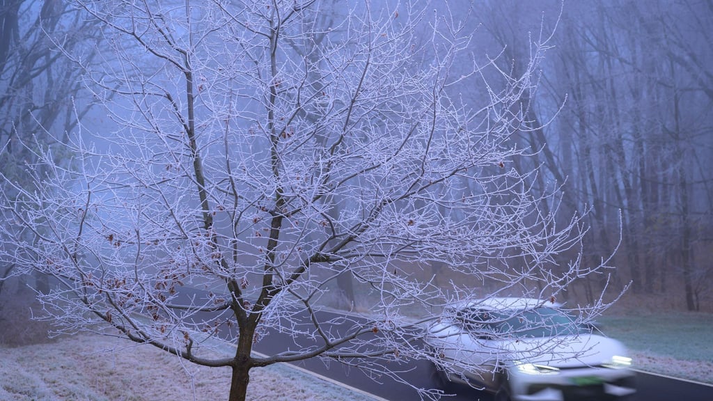 In kalten Nächten ist die Landschaft mit Raureif überzogen.