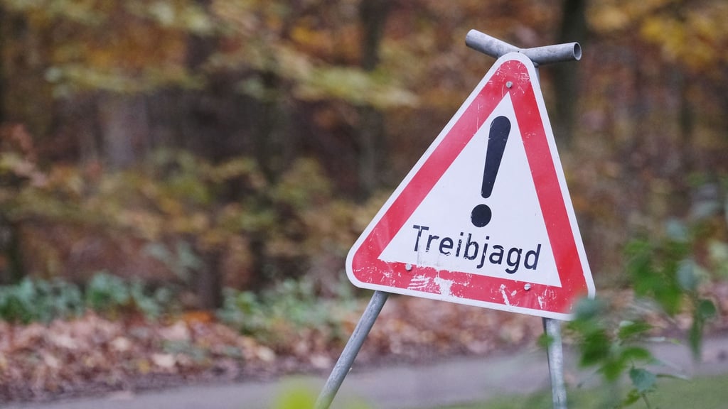 Bei einer Treibjagd sind zwei Spaziergänger durch Schrotkugeln leicht verletzt worden. (Symbolbild)