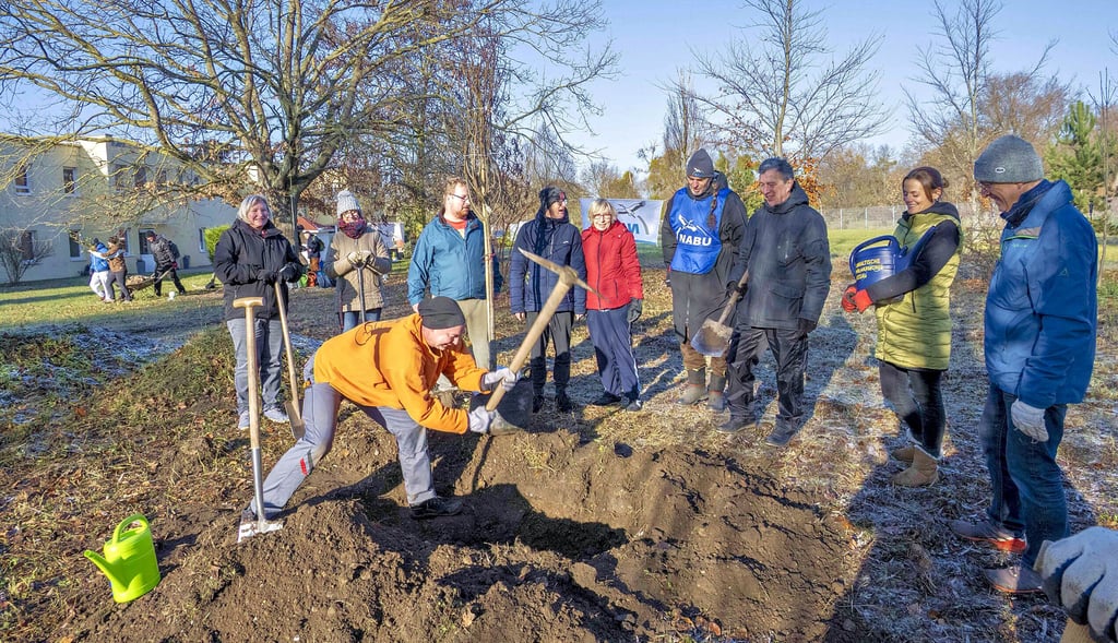 Mit der Spitzhacke wurden auf dem Gelände des Wohnheims in der Kreuzbergstraße die Pflanzlöcher für zwei Obstbäume geschlagen.  
