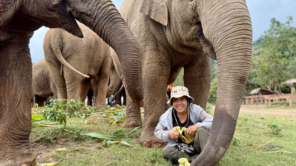 Saengduean „Lek“ Chailert verbringt täglich viel Zeit mit ihren Elefanten.