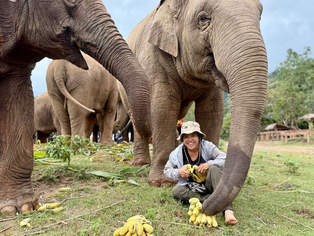 Saengduean „Lek“ Chailert verbringt täglich viel Zeit mit ihren Elefanten.