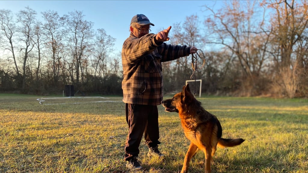 Gerald Barthel (57), Vorsitzender des Schäferhunde-Vereins mit Schäferhündin Rieke (11), auf dem Trainingsplatz nahe dem Strandbad. Nachdem am Strandsolbad ein Hund totgebissen wurde, steht auch er in der Kritik.&nbsp;