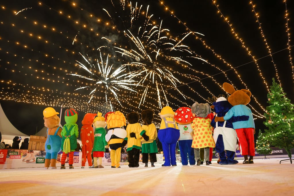 Zum Abschluss gab es ein atemberaubendes Feuerwerk.