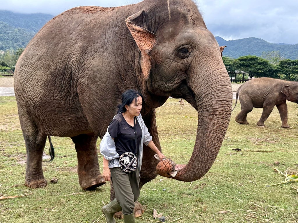 Lek ist für ihre Arbeit vielfach ausgezeichnet worden.