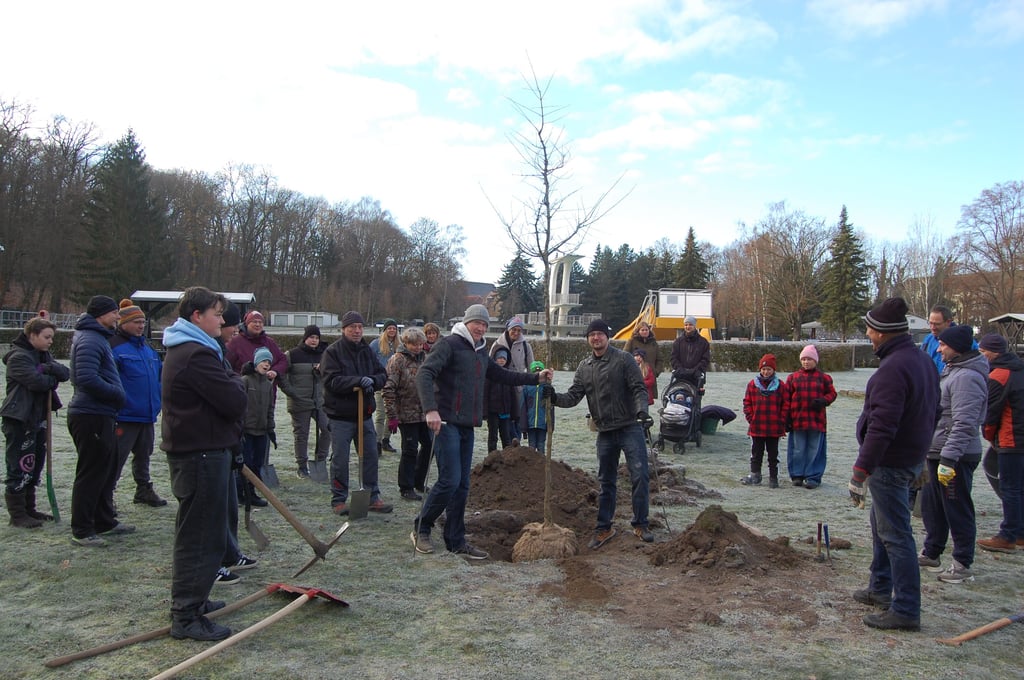 Mitglieder des Weißenfelser Schwimmvereins haben im Freibad der Saalestadt einen Baum gepflanzt.