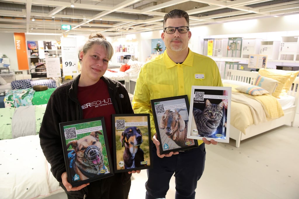 Mit Fotos werben Tierheimleiterin Sarah Ross und Ikea-Abteilingsleiter Gerrit Kaminski mitten in der Möbelausstellung für schwer vermittelbar Tiere.