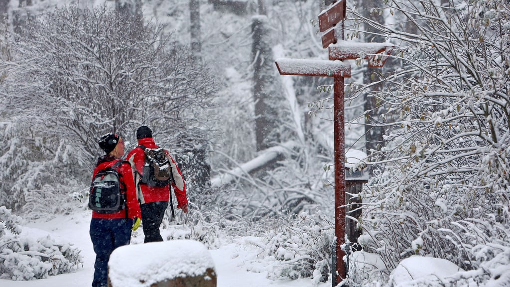 Egal ob Schnee oder nur Frost: In der Altmark gibt es auch im Winter viel zu entdecken.