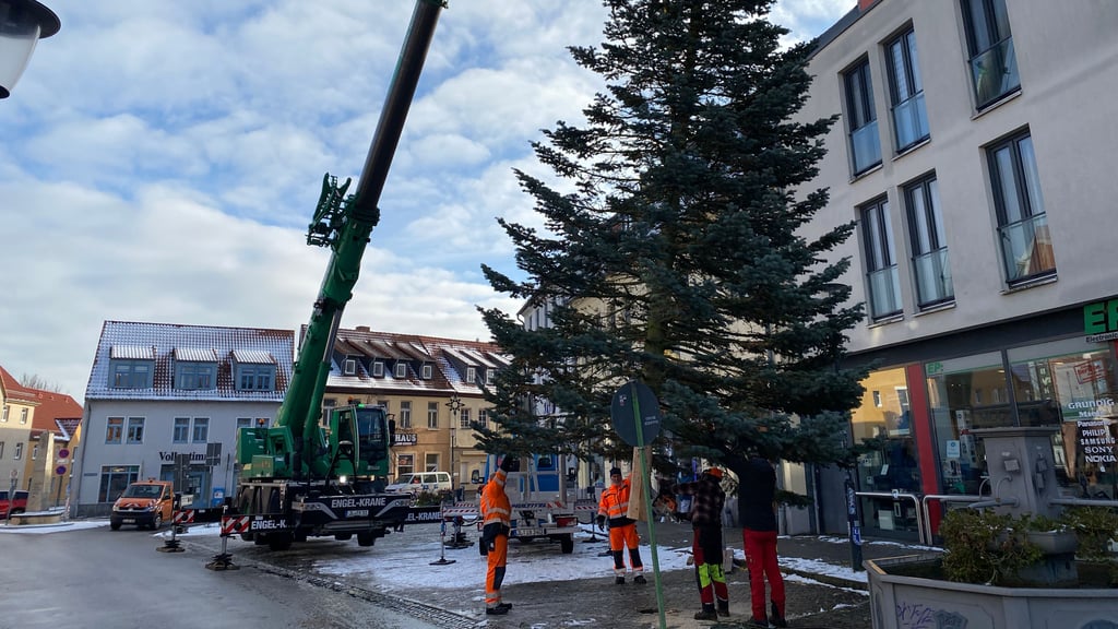 Der Weihnachtsbaum am Markt wird mit einem großen Kran an seinen Platz gehoben.