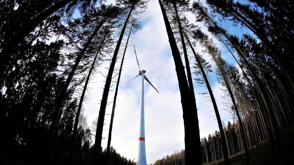 Mitten  im Wald schießen Windräder in die Höhe. Gegen ein solches Vorgaben in der Dübener Heide gibt es reichlich Widerstand.