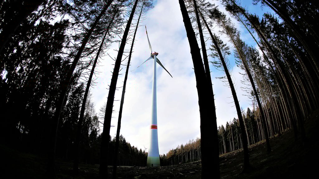 Mitten  im Wald schießen Windräder in die Höhe. Gegen ein solches Vorgaben in der Dübener Heide gibt es reichlich Widerstand.