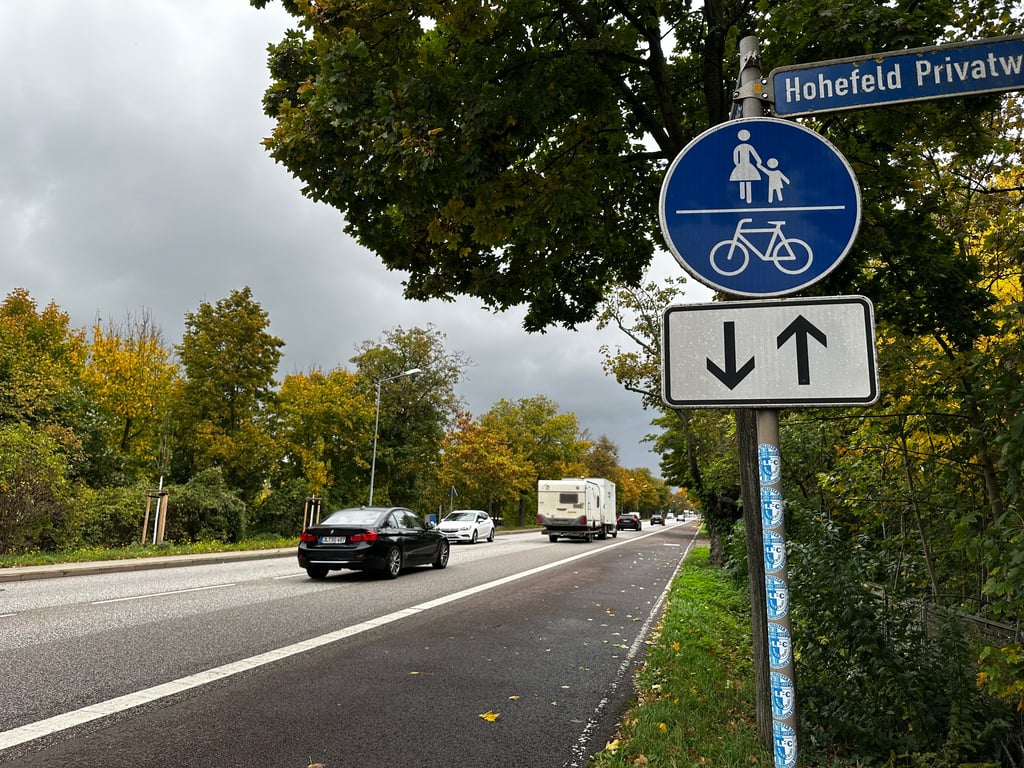 Die Berliner Chaussee in Magdeburg: Immer wieder Thema im Stadtrat wegen Verkehrssicherheit.