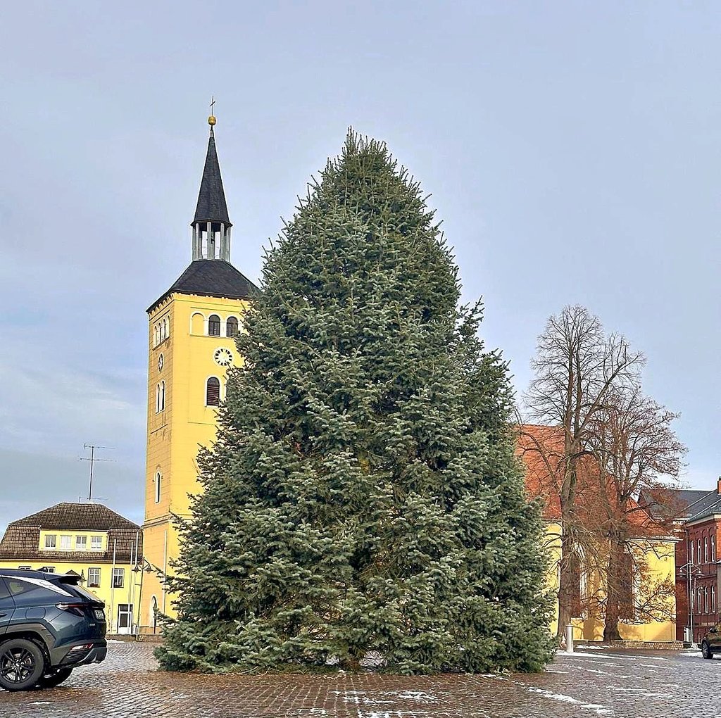 12 Meter hoch, 30 Jahre alt: das ist der Weihnachtsbaum 2025 in Jessen.