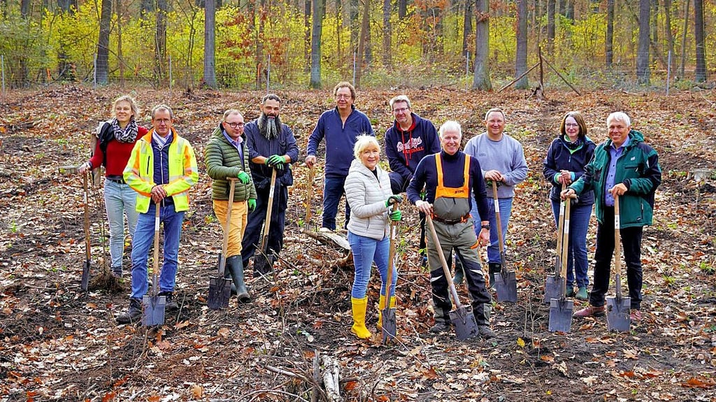 Mitglieder der Ingenieurkammer Sachsen-Anhalt haben in der Dölauer Heide neue Hainbuchen und Winterlinden gepflanzt.