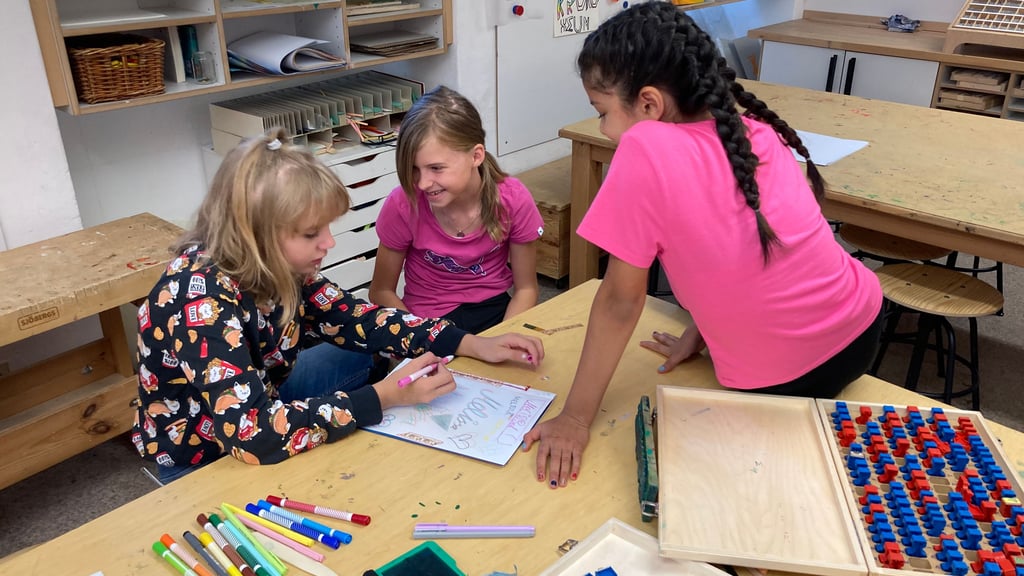 Das Krokoseum der Franckeschen Stiftungen (hier zu sehen ein Ferienangebot) gehört auch zu einem der Projekte, die auf eine Förderzusage der Stadt warten müssen.