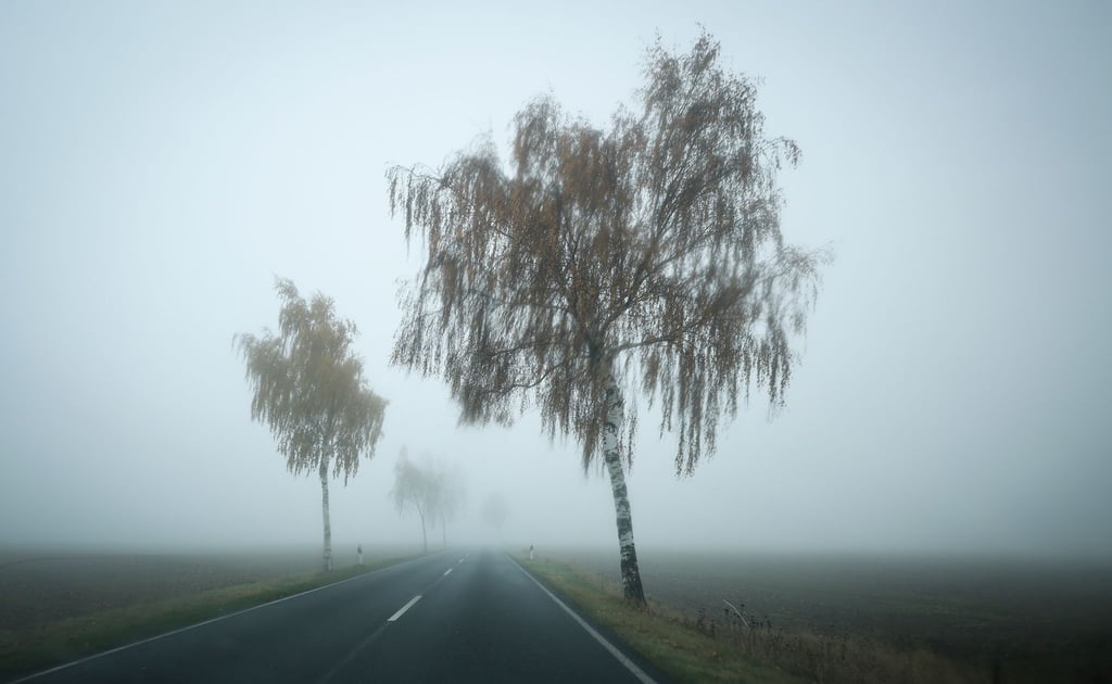 Das Wetter in Niedersachsen und Bremen bleibt wechselhaft mit gebietsweise Regen, Nebel und Frost. (Symbolbild)