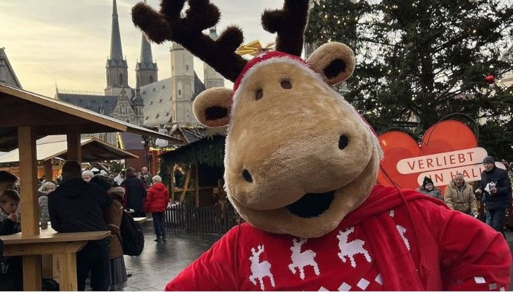 Jetzt geht es auch in Halle los mit dem Weihnachtsmarkt. Mit dabei sind wie immer die Rentiere Rudi und Finni.
