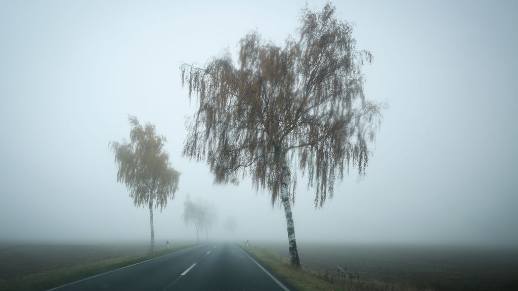 Das Wetter in Niedersachsen und Bremen bleibt wechselhaft mit gebietsweise Regen, Nebel und Frost. (Symbolbild)