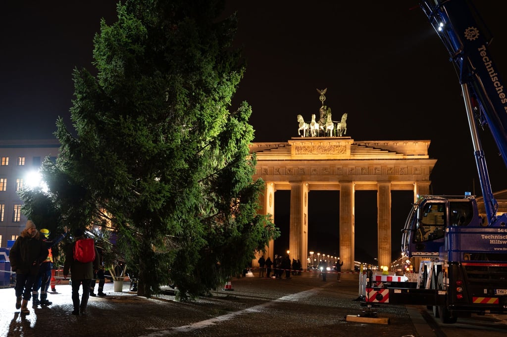 „Dieses Mal ist es ein sehr voller Baum. Wir hatten schon welche, die waren deutlicher kahler“, ist sich THW-Einsatzleiter Julius Kerkhoff sicher.