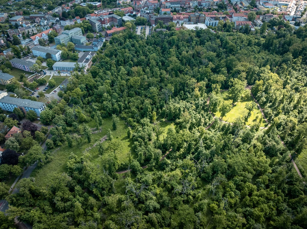 Ein Blick von oben auf die Fasanerie. 
