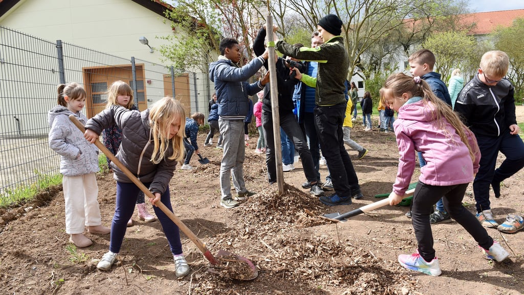 Junge Bäume für den neuen Spielplatz in Benndorf haben Schüler bereits gepflanzt. 