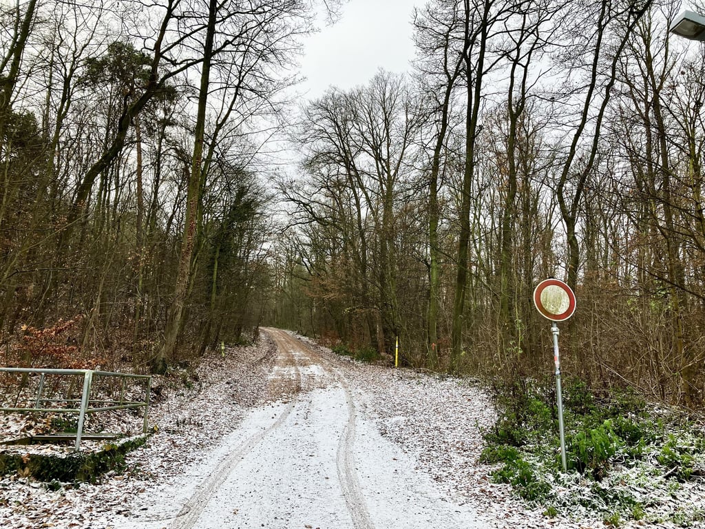 In den Wald bei Ballenstedt führt die Leimuferstraße. 