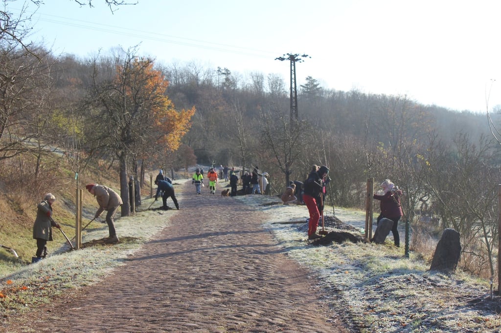 Zahlreiche Helfer sind am vergangenen Wochenende in Dobis (Saalekreis) zusammengekommen, um die neuen Obstbäume zu pflanzen. 
