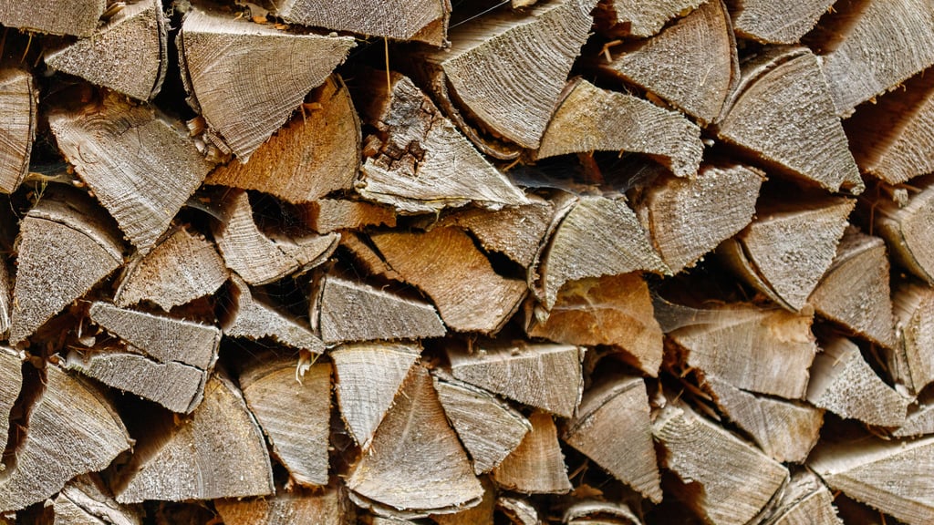 Ist das Sammeln von Brennholz im Wald erlaubt?