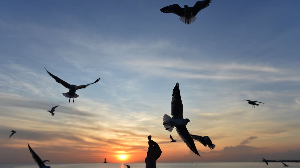 Sonnige Reiseziele sind laut Dertour besonders gefragt. (Archivbild)