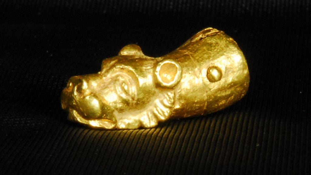 Blick auf das goldene Löwenköpfchen, das bei den archäologischen Ausgrabungen im Magdeburger Dom in einem leeren Grab gefunden wurde. Das leicht geschwungenen zwei Zentimeter Kleinod schmückte nach Ansicht von Grabungsleiter Rainer Kuhn ursprünglich die Spitze einer erzbischöflichen Krümme und dürfte etwa 800 bis 1000 Jahre alt sein.