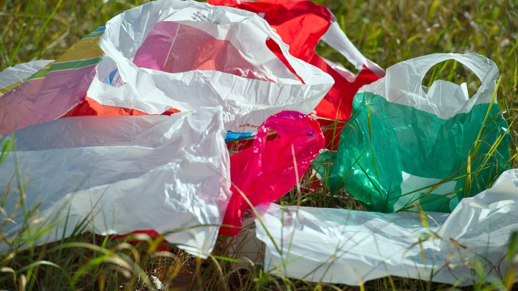 Ein Foto von 2012 - solche Plastiktüten sind inzwischen nicht mehr an Deutschlands Supermarkt-Kassen zu bekommen. (Symbolbild)