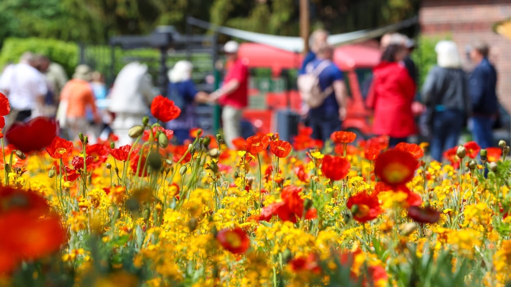 2022 lockte Beelitz um die 560.000 Besucher zur Landesgartenschau. (Archivbild)