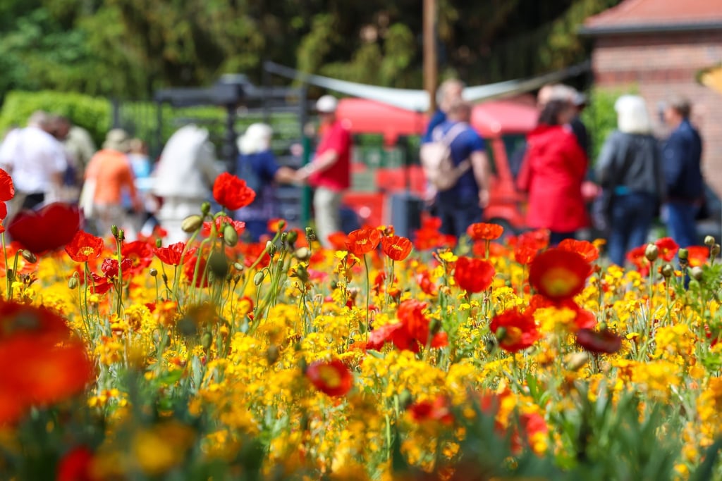 2022 lockte Beelitz um die 560.000 Besucher zur Landesgartenschau. (Archivbild)
