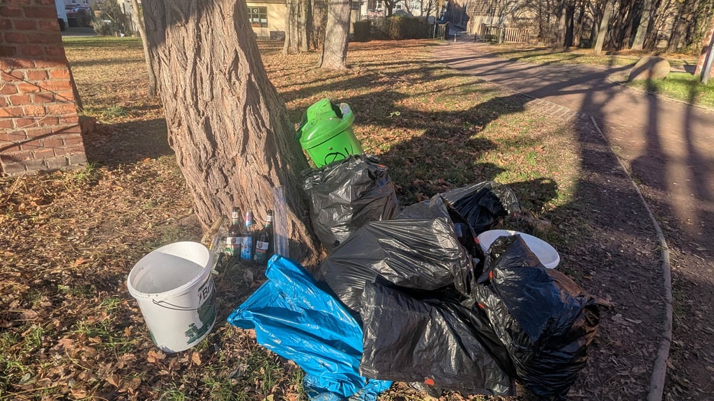 Ergebnis der Aufräumaktion Am Burcharditor in Halberstadt.