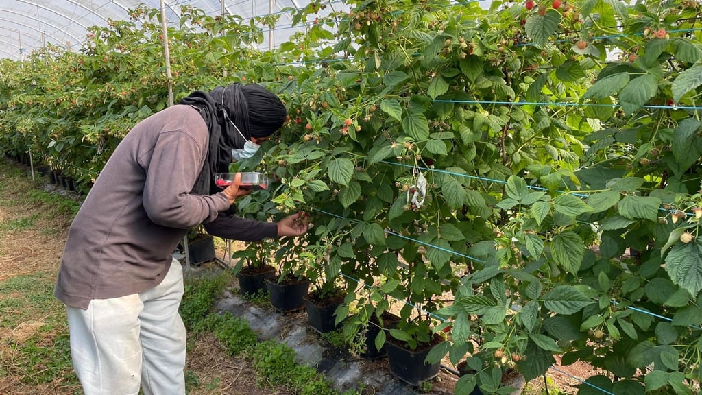 Die befreiten Migranten wurden laut Polizei oft geschlagen.
