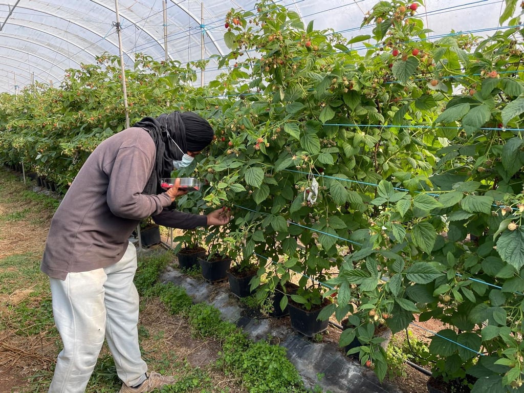 Die befreiten Migranten wurden laut Polizei oft geschlagen.