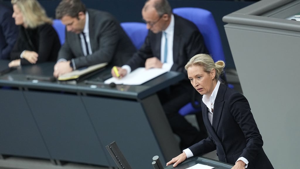 AfD-Chefin Alice Weidel zählte Probleme in den Bereichen Sozialstaat, Migration, Wirtschaft und Staatsfinanzen auf.