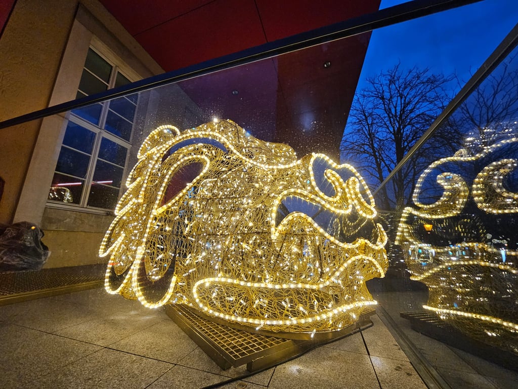 Das neue Löwenköpfchen für die Magdeburger Lichterwelt spiegelt sich im Glas vor dem Eingang zum Dommuseum.