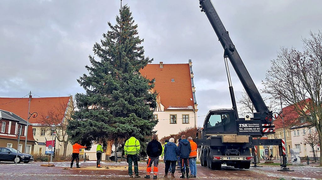 Die Tanne wurde am Dienstagvormittag aufgestellt. 