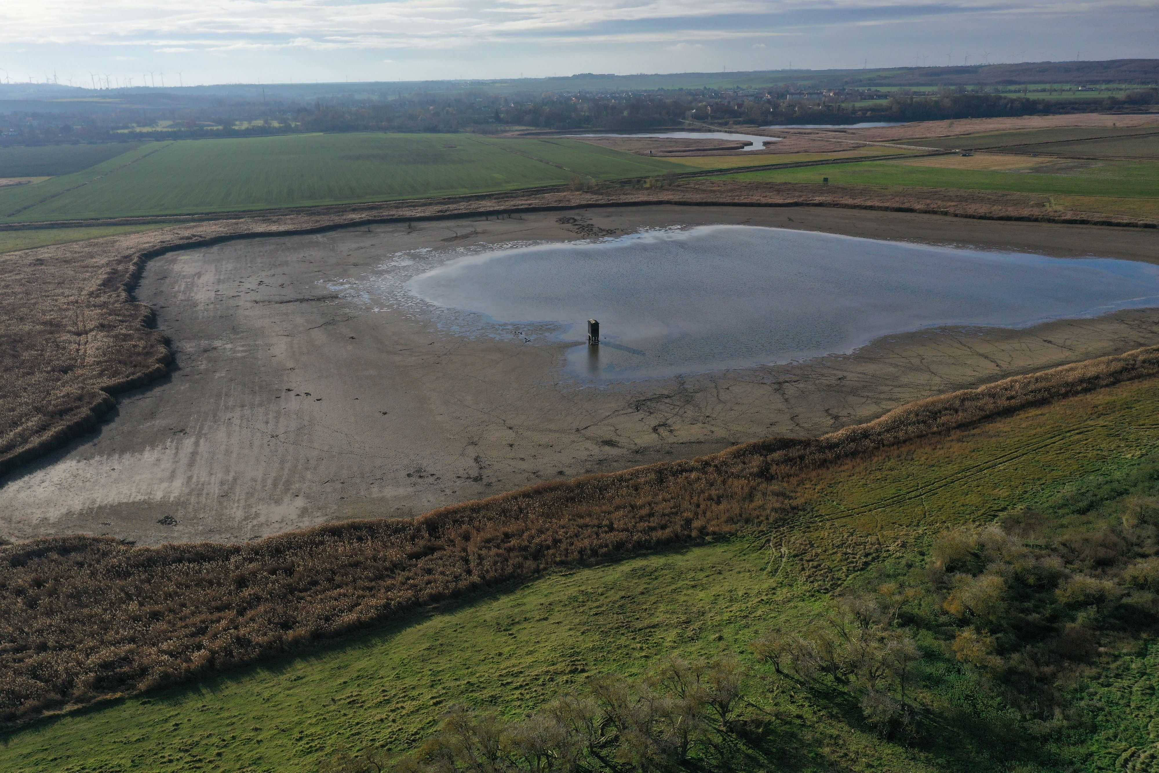 Seenlandschaft zwischen Ebbe und Entwarnung: Wasserknappheit im Mansfelder Land? So steht es um Salzigen und Süßen See