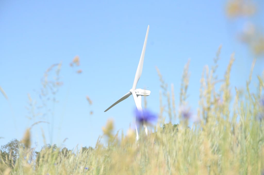 Die Windräder bei Salzwedel sollen Zuwachs bekommen.